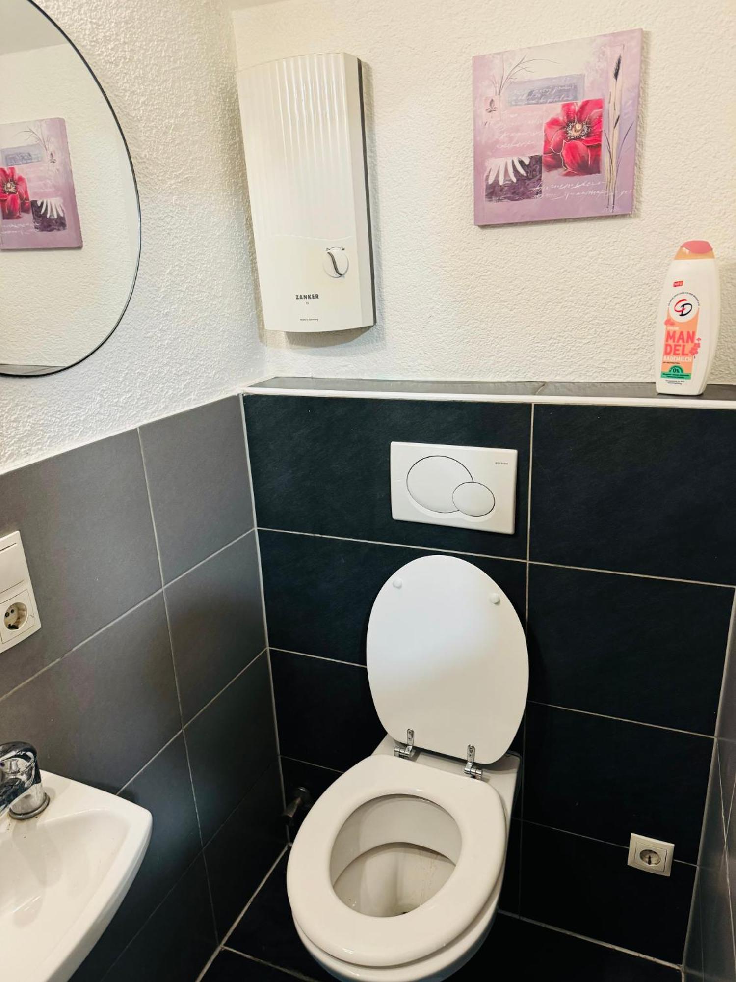 Kompakte & Guenstige Einzimmerwohnung Koblenz (Rhineland-Palatinate)